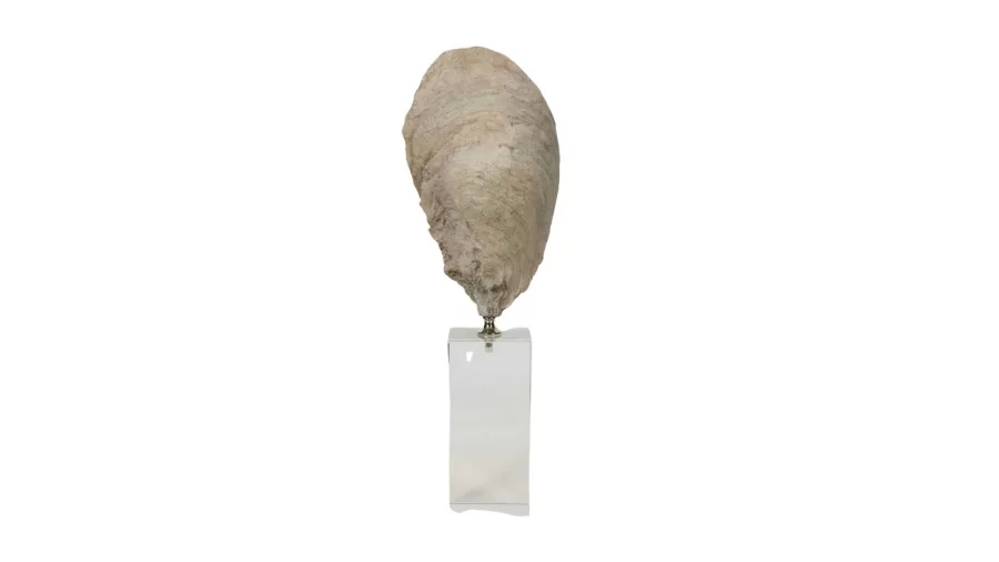 AK.ID0122 Kristal Polyester Deniz Kabuğu 8*13.5*39 cm