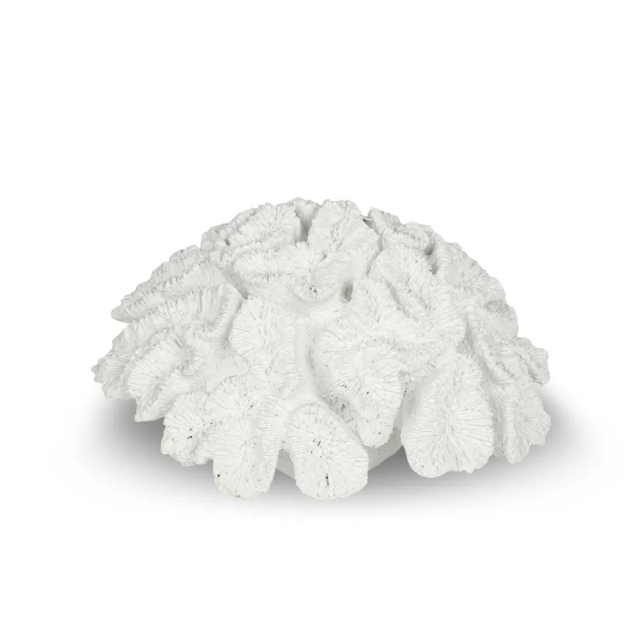 AK.P356.370091 Beyaz Mercan Resin Obje 22x22x11cm